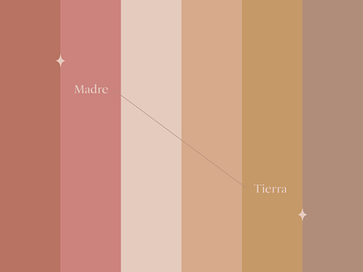 Zänä Alquimia – Color Palette