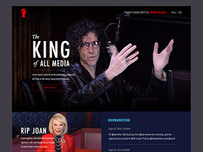 Howard Stern Concept clean concept howard stern interface layout redesign ui website
