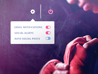 Settings (#007) 007 dailyui day 7 notifications settings