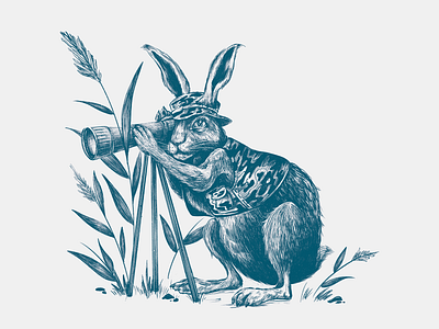 Rabbit spy drawing illustration