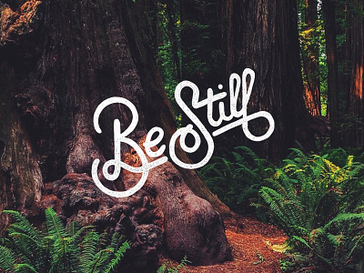 Be Still california lettering redwoods script tree typography