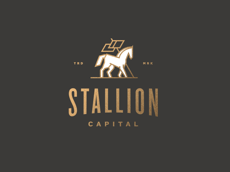 Stallion Capital | Saint Vincent branding colt finical flag horse logo mark pony redline stallion