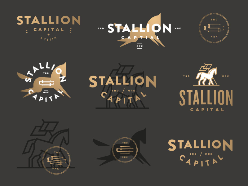 Stallion Capital | Secondary Marks stallion pony mark logo investment horse finical colt branding animal