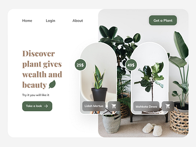 Plant Landing Page Website Concept aesthetic branding brown buy clean green grow landingpage minimalist plant sell store tree ui ux web