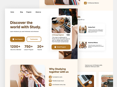 Studied - Education Website Concept academic brown clean course design education learning minimalist student study ui ux web website