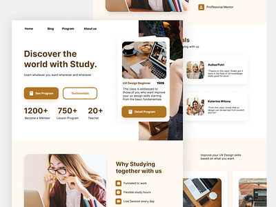 Studied - Education Website Concept