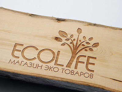 Ecolife магазин эко товаров astana eco ecolife food health kazakstan logo logo design logotype shop logo