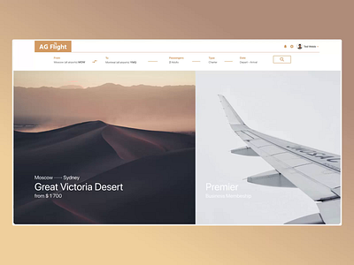 Private jet booking web-service 3d aircraft booking c4d gold octane planes texture ticket booking tickets typography ui ui ux ui design web design website