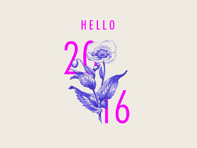 Hello 2016