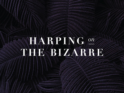 Harping On the Bizarre - Logo Design branding graphic design logo