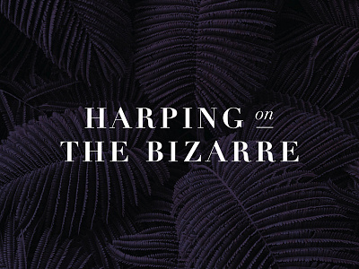 Harping On the Bizarre - Logo Design