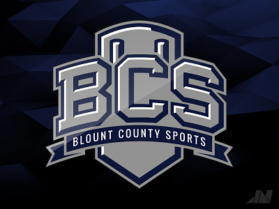 Blount County Sports (Primary) bcs blount county sports brand facility identity illustrator logos