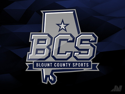 Blount County Sports (Secondary) bcs blount county sports brand facility identity illustrator logos