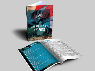 Annul Report Design booklet design branding car car shop catalog design cbd cbd oil doctor eco ecommerce event flyer food menu graphic design gym gymnastic hospital print realestate restaurant