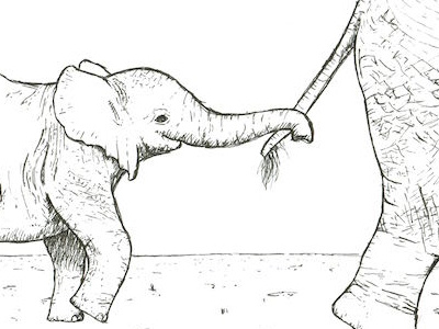 Young Elephant copic illustration ink