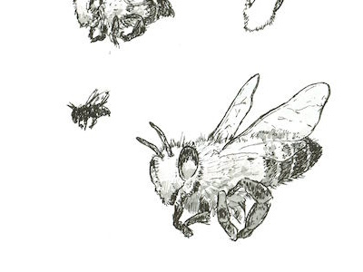 Beeeeees! brushpen copic illustration ink