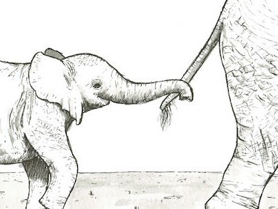 Young Elephant brushpen copic illustration ink