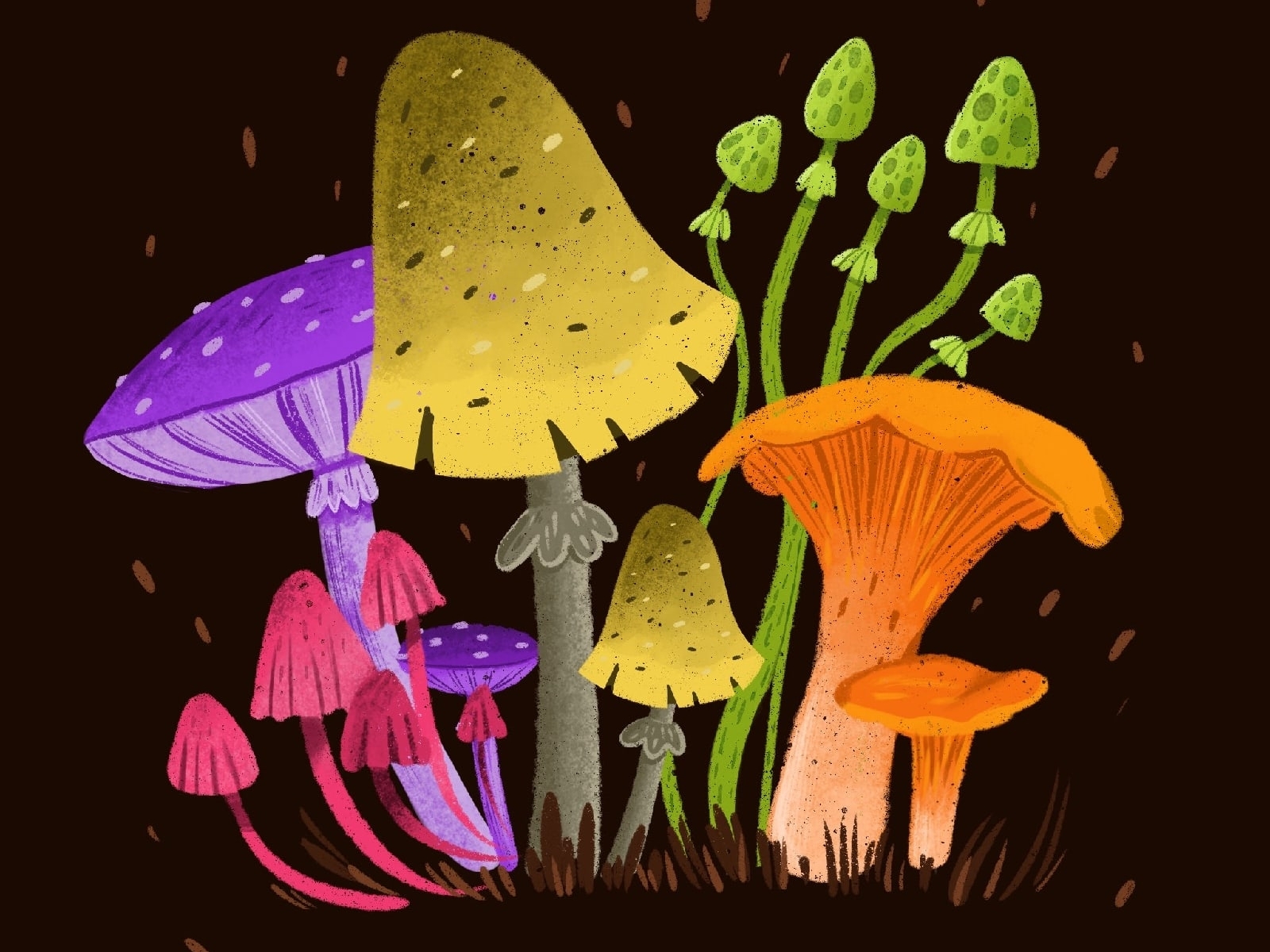 mushrooms by Lera Ush on Dribbble