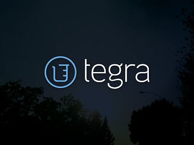 Tegra aaux next branding logo mark type typography