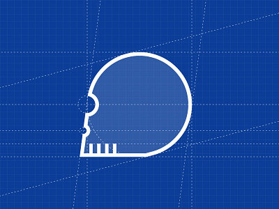 Skull Blueprint illustration skull