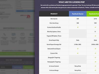 Social Landing Page landing page one page pricing table purple responsive responsive design social media table