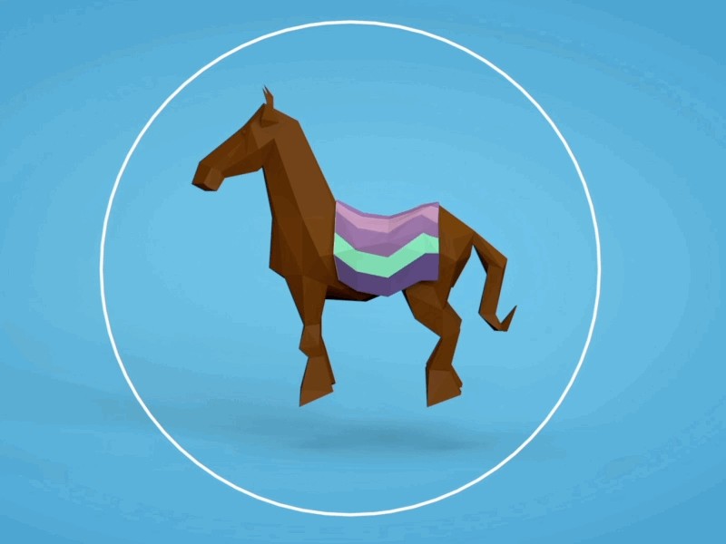 Horse evolution