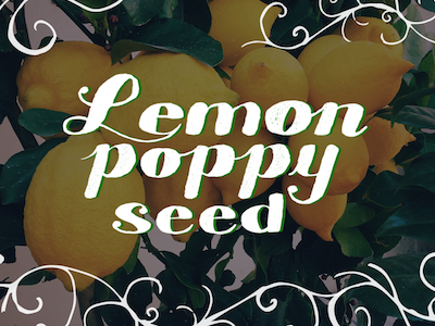 Lemon Poppy Seed hand lettering hand lettering illustrator lettering typography