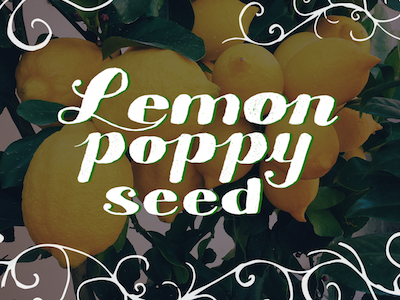 Lemon Poppy Seed illustrator lettering typography hand lettering hand-lettering