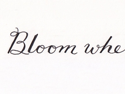 Bloom where you're planted.