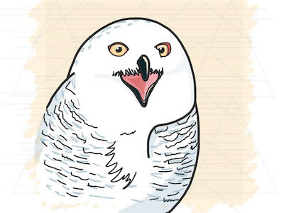 Screaming Owl owl illustration vector illustration vector