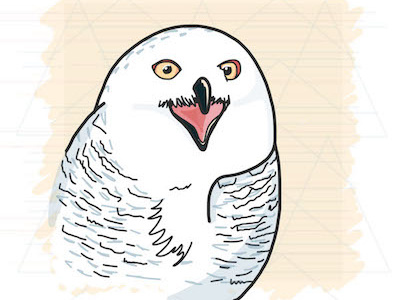 Screaming Owl illustration owl vector vector illustration