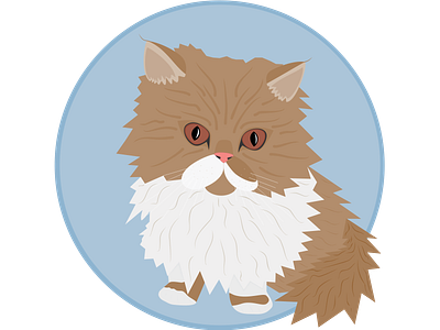 Benjamin animal cat cats design illustration mycat pet vector