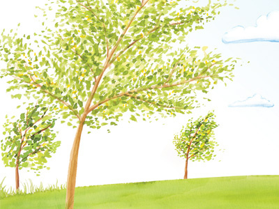 Trees in the park clouds illustration trees