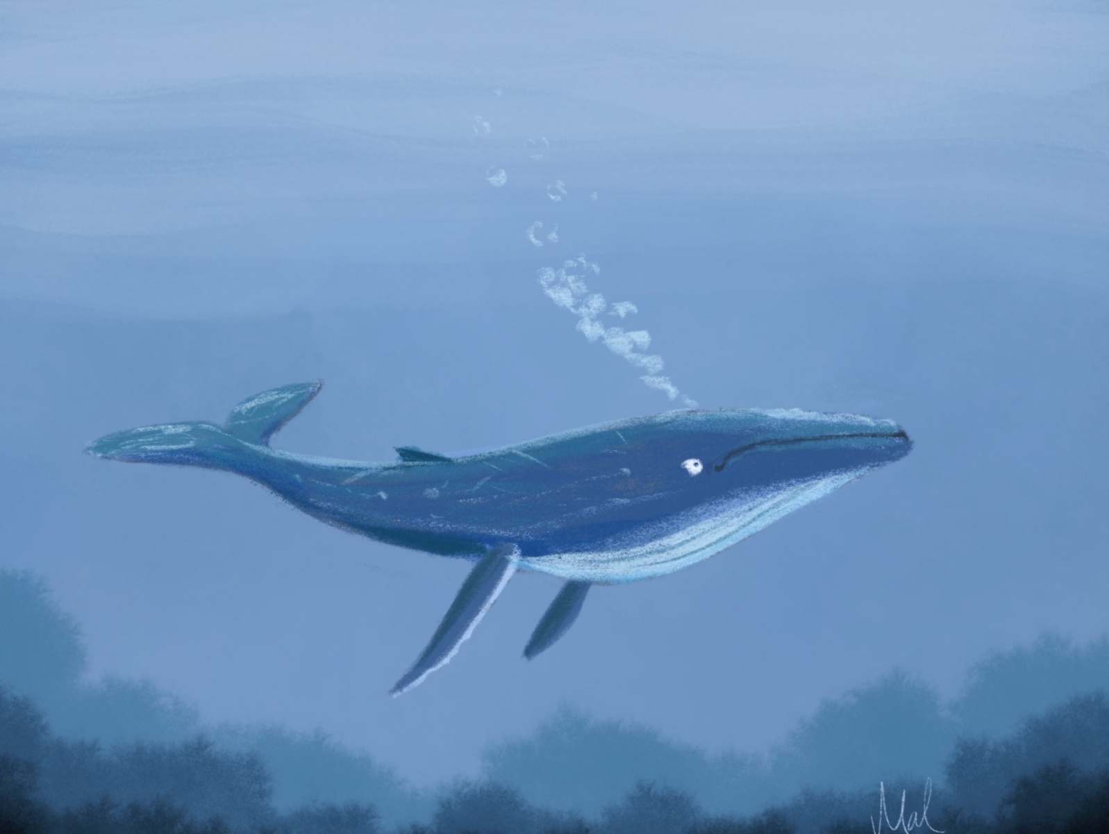 Blue Whale Line Art · Creative Fabrica
