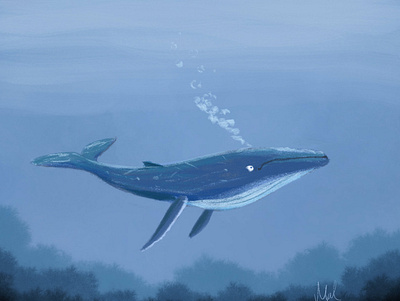 Shadow Blue Whale digital drawing illustration shadowblue