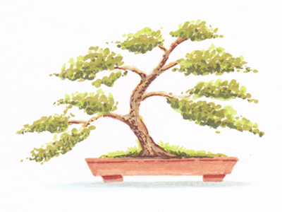 Bonsai marker sketch bonsai copic drawing illustration marker sketch