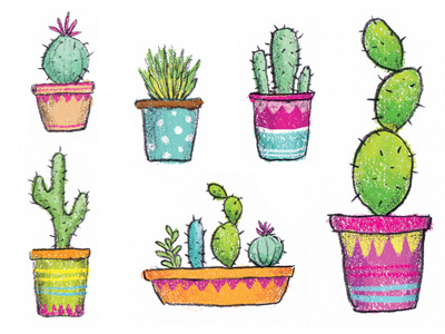 Cactus Collection cactus digital illustration plants pots