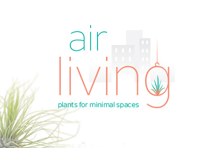 Air Living air plants branding logo terrarium