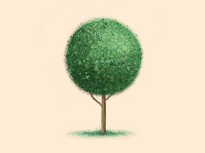 Topiary tree drawing illustration minimal texture topiary tree