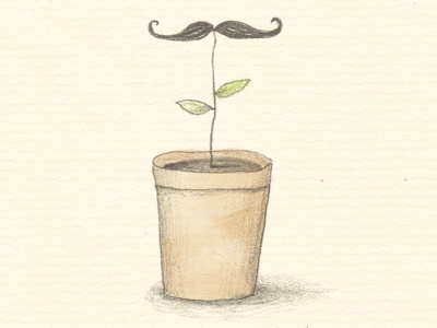 Growing a Moustache... moustache plant sketchbook