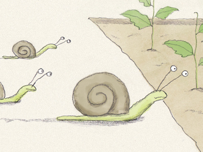 Snail Race illustration snail