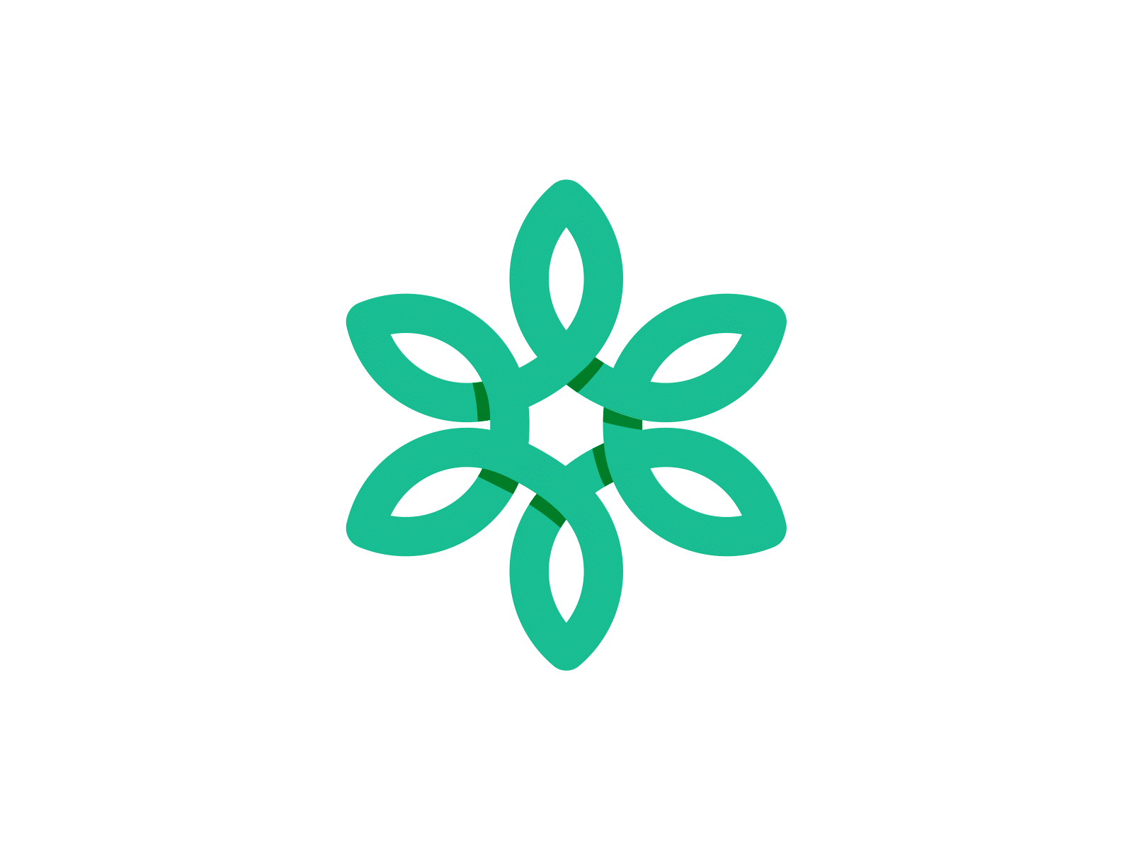 Green Star animation bodymovin green icon icon animation leaf leaves lottie lottiefiles motion design motion graphics star