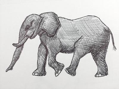 Elephant – Ballpoint Pen
