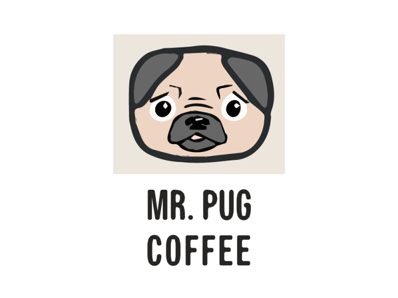 Mr. Pug