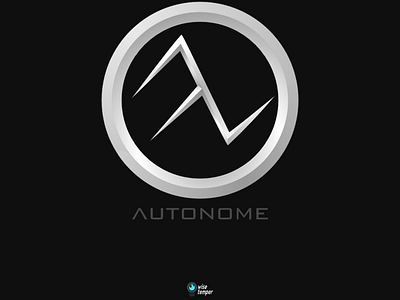 Autonome Driverless Car Logo art dailylogochallenge design flat logo logomark minimal vector