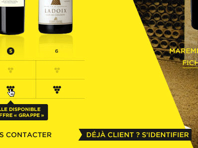 Wine selection color web design webdesign website wine