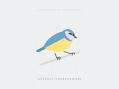 La mésange charbonnière bird illustration poster