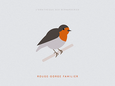 Le rouge-gorge familier bird illustration poster