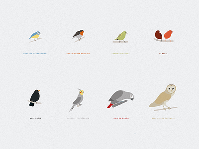 Ornithèque bird illustration poster