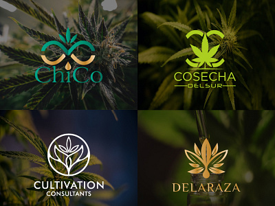 creative cannabis hemp weed marijuana cbd oil logo